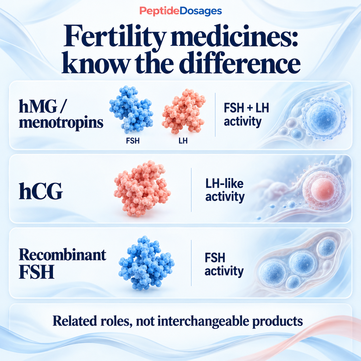 hMG provides FSH and LH activity; hCG has LH-like activity; recombinant FSH provides FSH activity.