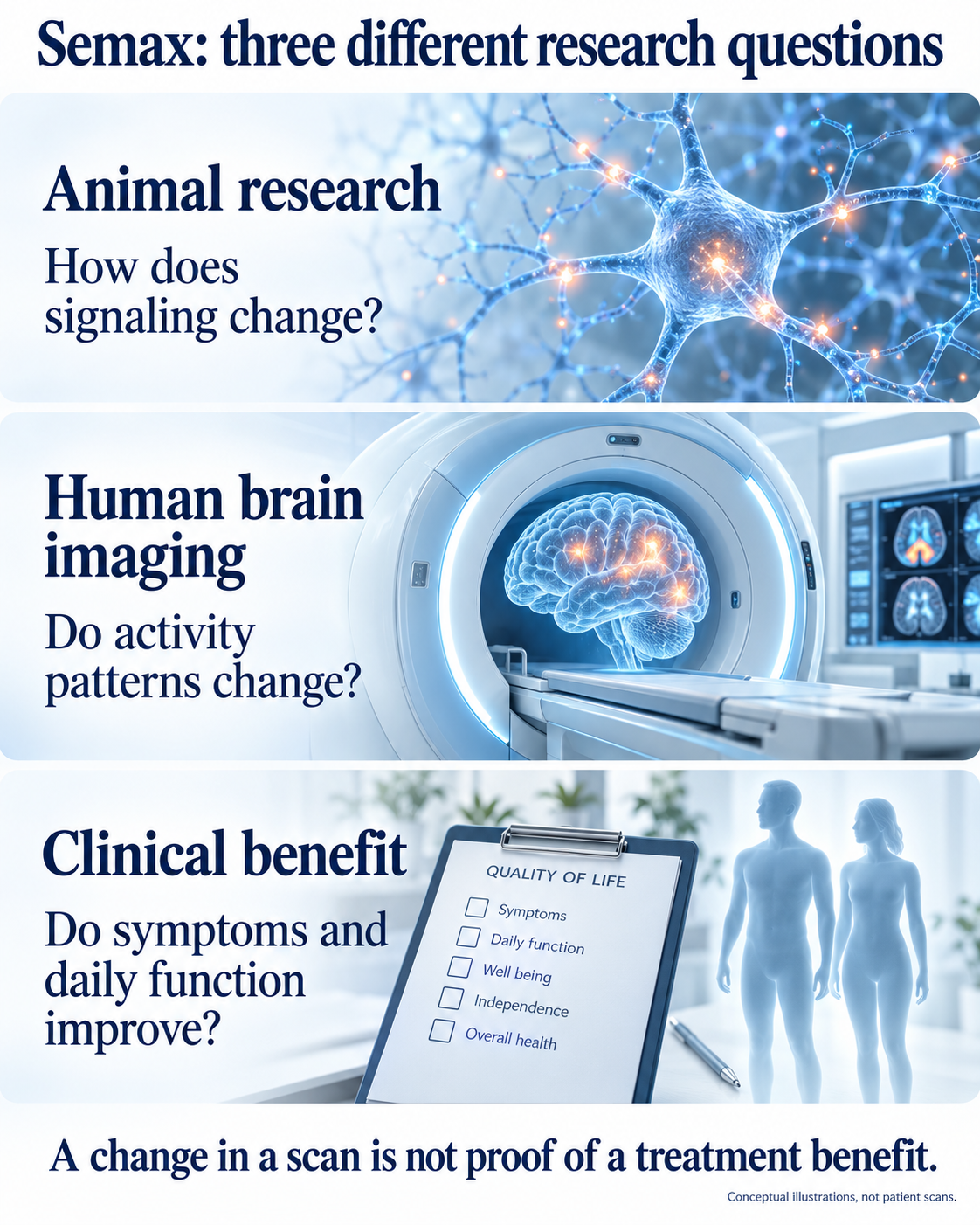 Semax studies ask different questions about animal signaling, human brain activity and meaningful clinical benefit.