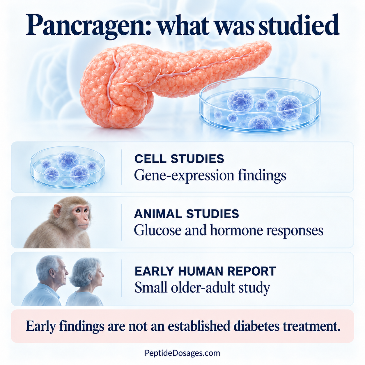 Pancragen research spans pancreatic cell cultures, rhesus monkey experiments and a small older-adult report; none establishes a diabetes treatment.