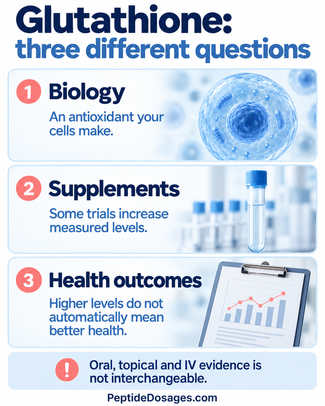 Glutathione evidence separates cellular antioxidant function, supplement biomarker studies, and clinical outcomes that still need direct testing.