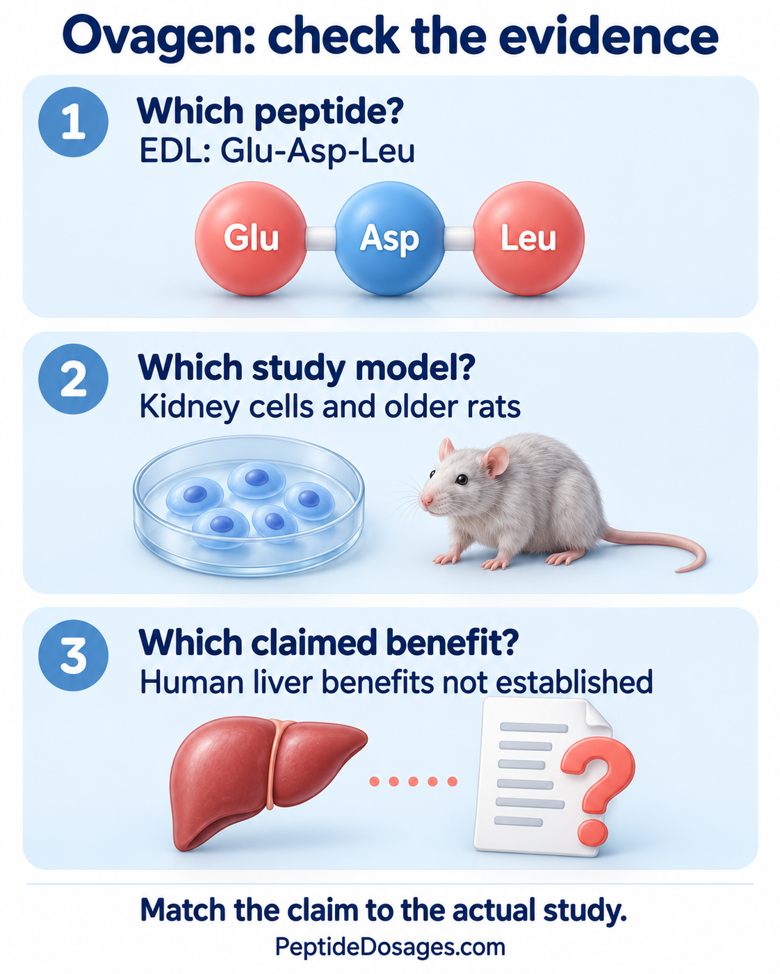 Ovagen evidence check: confirm the EDL sequence, identify the kidney study model, and separate it from human liver claims.